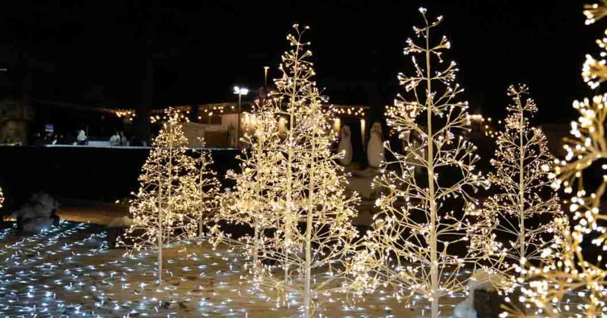 ©-Not-An-Agency-srl-6.png
