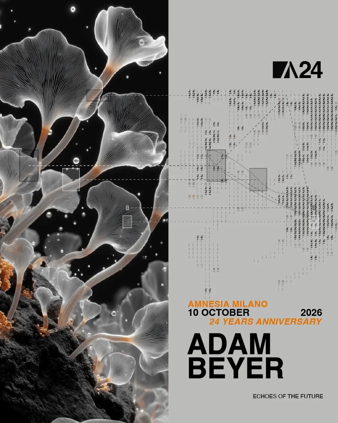 Locandina Adam