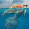 The Plastic Age: educazione ambientale fino al 29 settembre