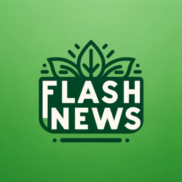 DALL·E 2024 02 06 16.42.37 Create a simple green logo featuring the text Flash News . This logo is meant to represent a new page dedicated to providing quick updates and news a