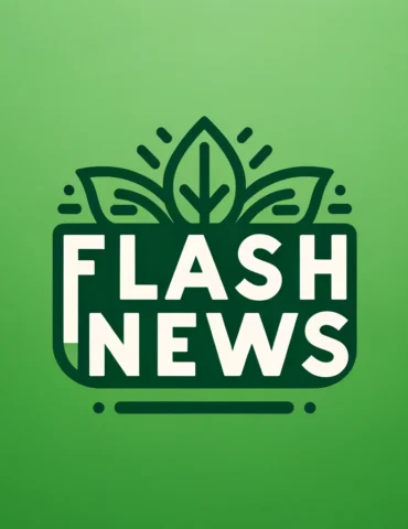 DALL·E 2024 02 06 16.42.37 Create a simple green logo featuring the text Flash News . This logo is meant to represent a new page dedicated to providing quick updates and news a