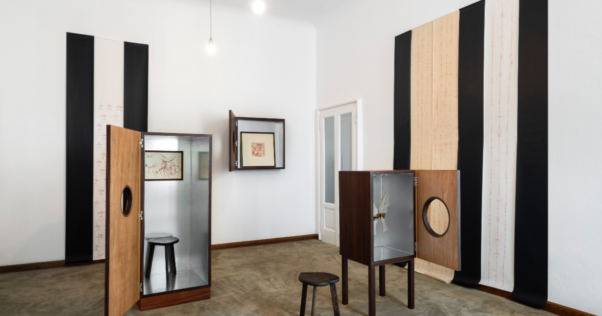 Benni Bosetto Slippery Orchid ©Andrea Rossetti