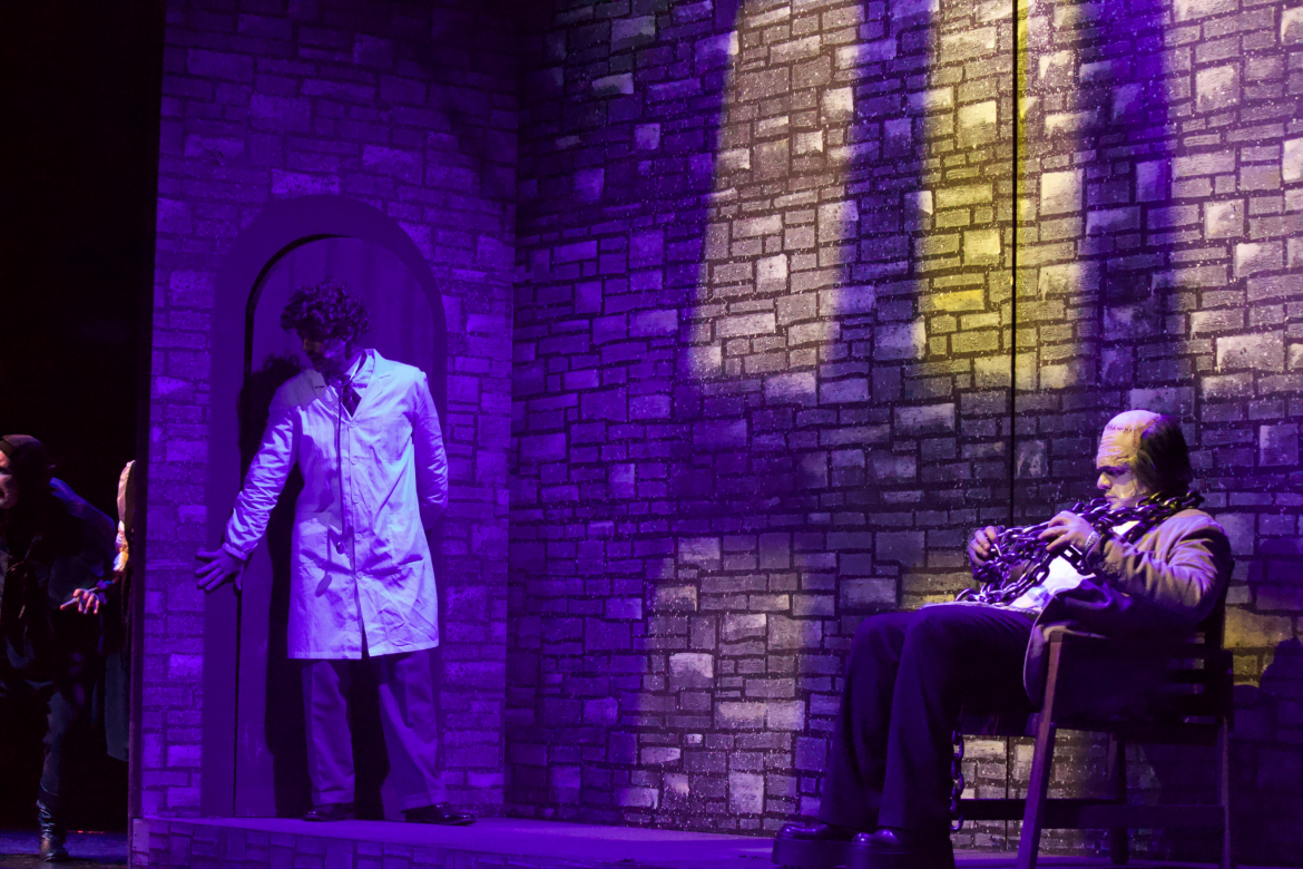 Frankenstein Junior Il Musical ph. Selene Amelio